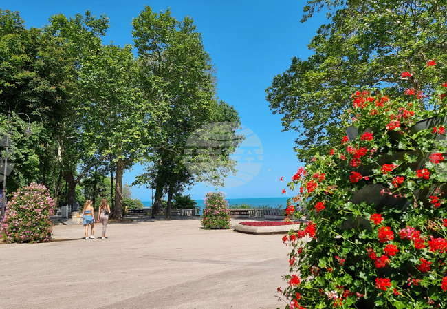 The Weather on June 20