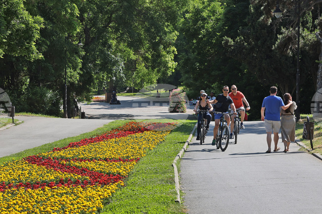 Прогноза за времето