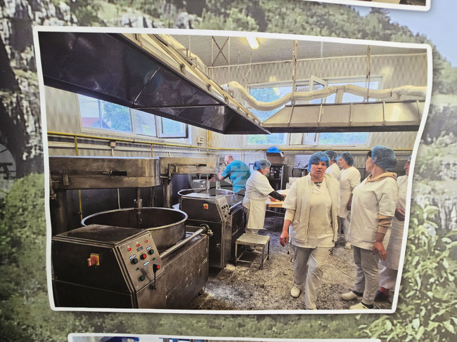 Ябланица - празник на града - изложба