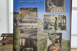 Ябланица - празник на града - изложба