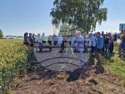 Разград - Ден на пшеницата