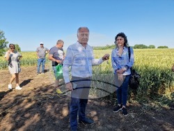 Разград - Ден на пшеницата