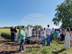 Разград - Ден на пшеницата