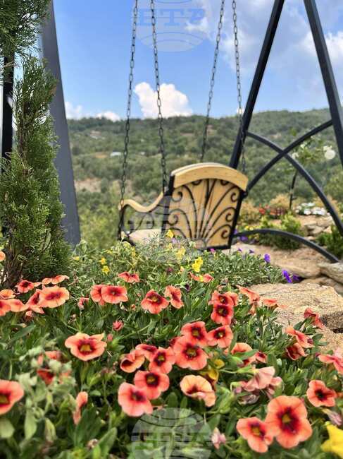 Около 80 хиляди цветя красят етно село Долене в община Петрич