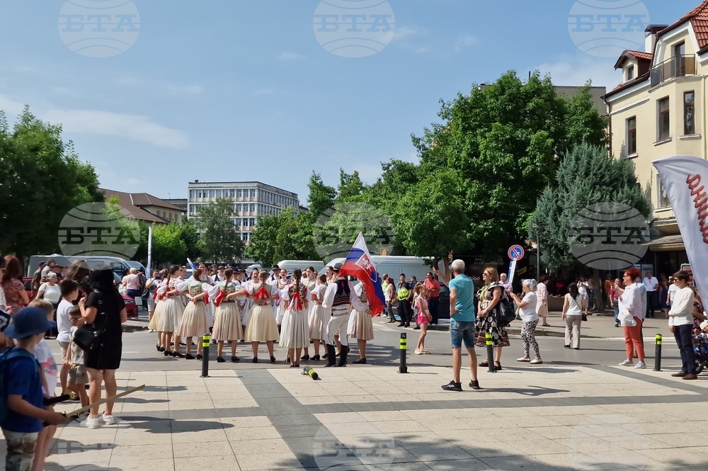 Монтана - празник на града - шествие - водосвет