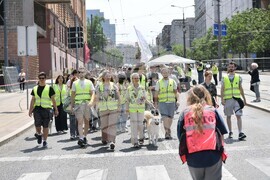Сърбия - протест