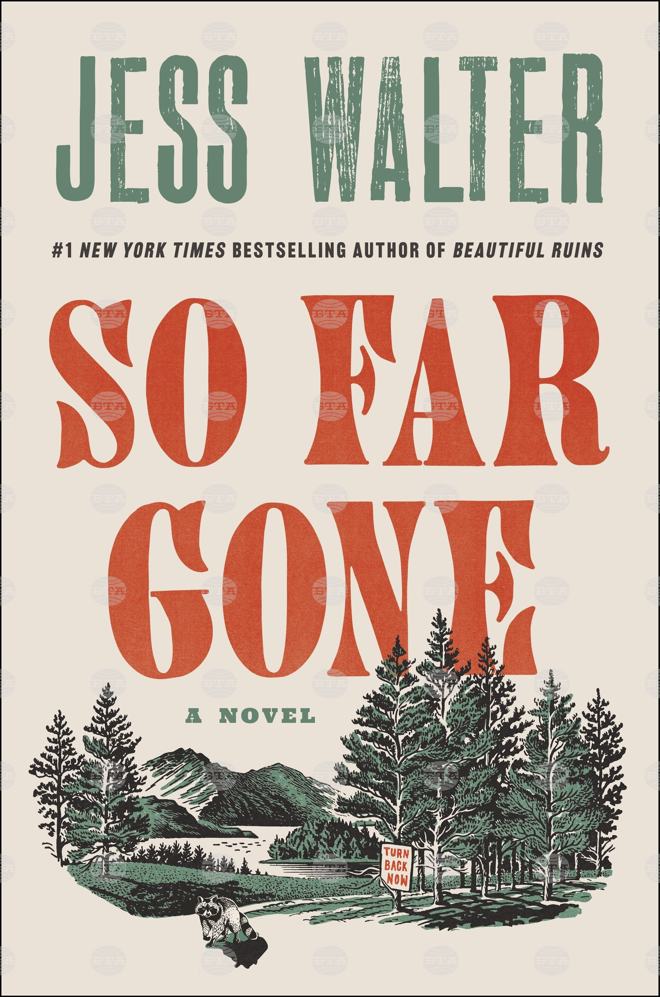 Book Review - So Far Gone