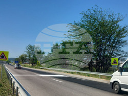 Снимка: АПИ