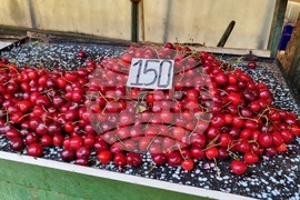 Северна Македония - Скопие - Зелени пазари