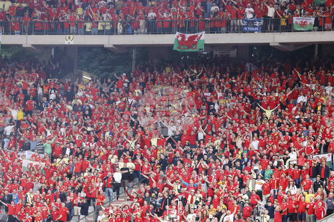 Фен на Уелс е откаран в болница след инцидент по време на световната квалификация с Белгия