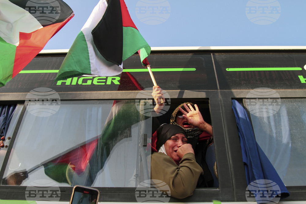 North Africa Gaza Convoy