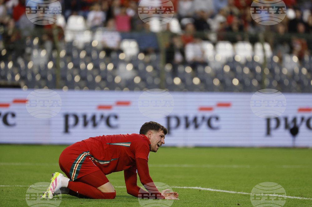 Belgium Wales WCup Soccer