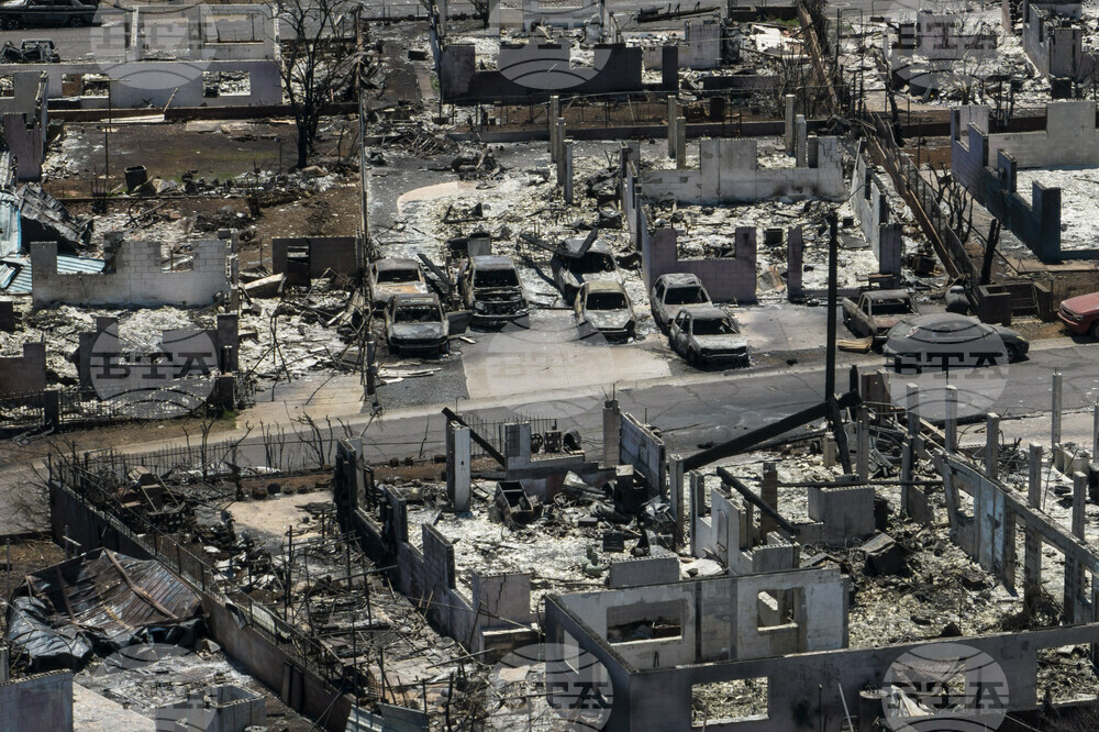 Maui Wildfire Debris