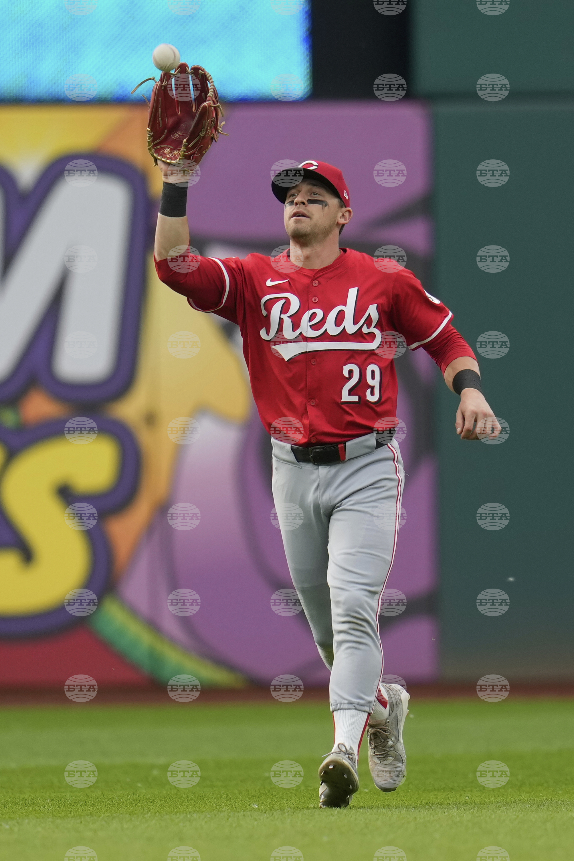 Reds Guardians Baseball