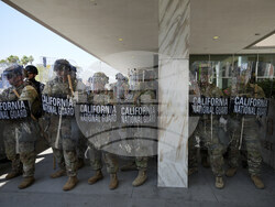 Immigration Raids Los Angeles