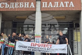 Плевен - протест - дело - Сияна