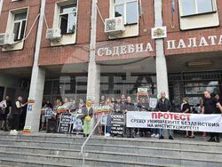 Плевен - протест - дело - Сияна