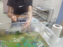 Снимка: Столична община, район Банкя