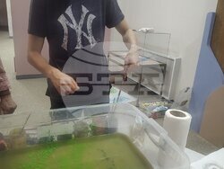 Столична община, район Банкя: 