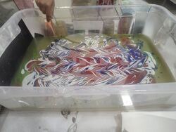 Столична община, район Банкя: 