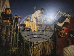 Immigration Raids Los Angeles