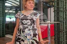 Здравеопазване - журналисти - работна среща - Ирияна Паунова