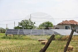 Село Суходол - наркооранжерия -канабис