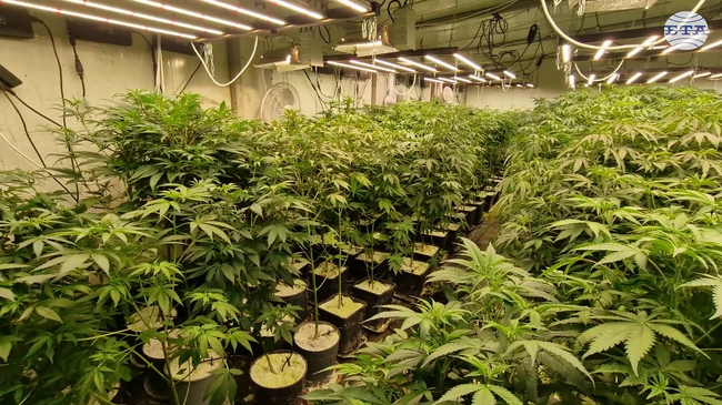 Нарколаборатория, работеща със "зелена енергия", е разкрита при специализирана полицейска операция в Бургаско