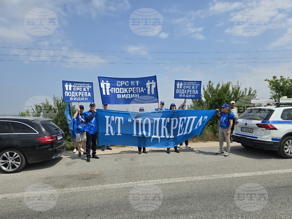 Видин - служители от Агенция "Пътна инфраструктура" - протест