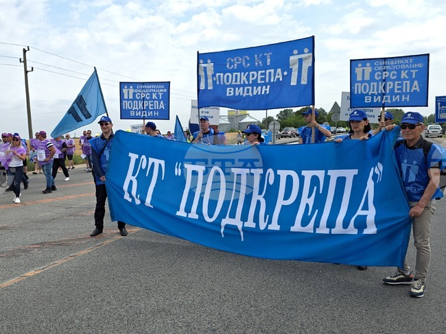 Видин - служители от Агенция "Пътна инфраструктура" - протест