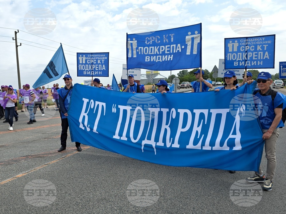 Видин - служители от Агенция "Пътна инфраструктура" - протест