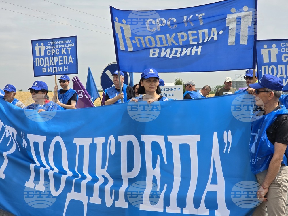 Видин - служители от Агенция "Пътна инфраструктура" - протест