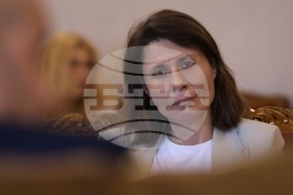 Народно събрание - Временна комисия - райски газ - заседание