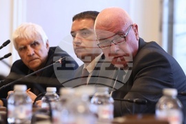 Народно събрание - Временна комисия - райски газ - заседание