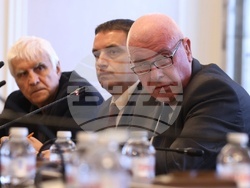 Народно събрание - Временна комисия - райски газ - заседание