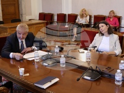 Народно събрание - Временна комисия - райски газ - заседание