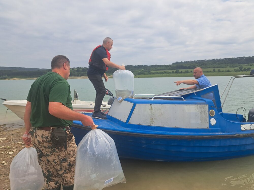 Кметът и председателят на Общинския съвет в Шумен пуснаха първите личинки толстолоб и бял амур в яз. „Тича“