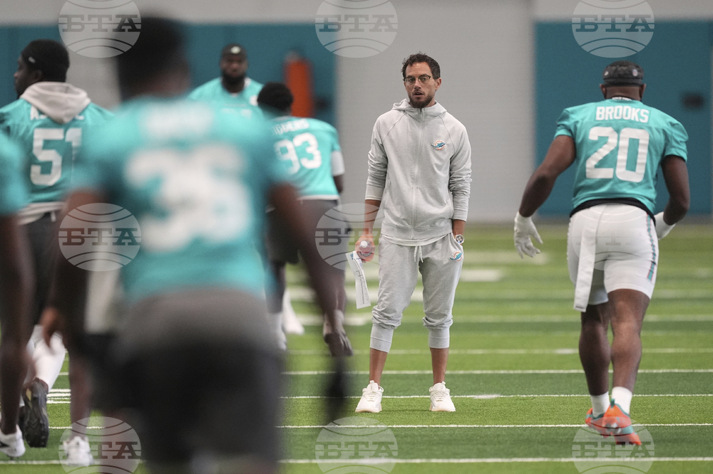 Dolphins Football