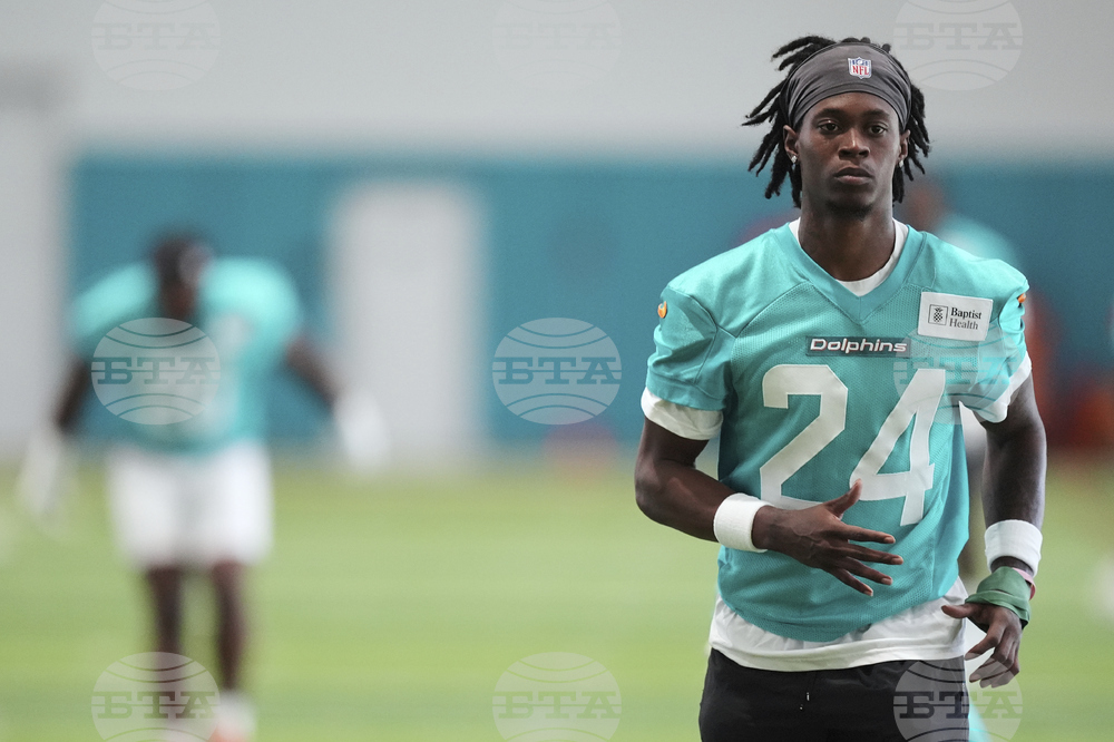 Dolphins Football