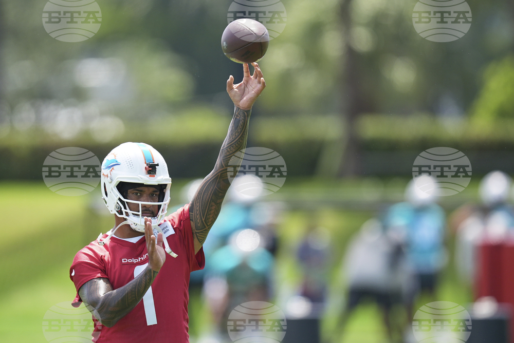Dolphins Football