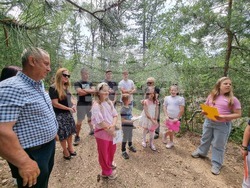 Брезник - Алея с брези - възстановяване