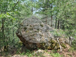 Брезник - Алея с брези - възстановяване
