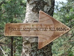 Брезник - Алея с брези - възстановяване