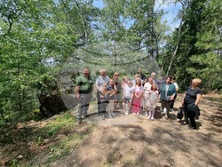 Брезник - Алея с брези - възстановяване