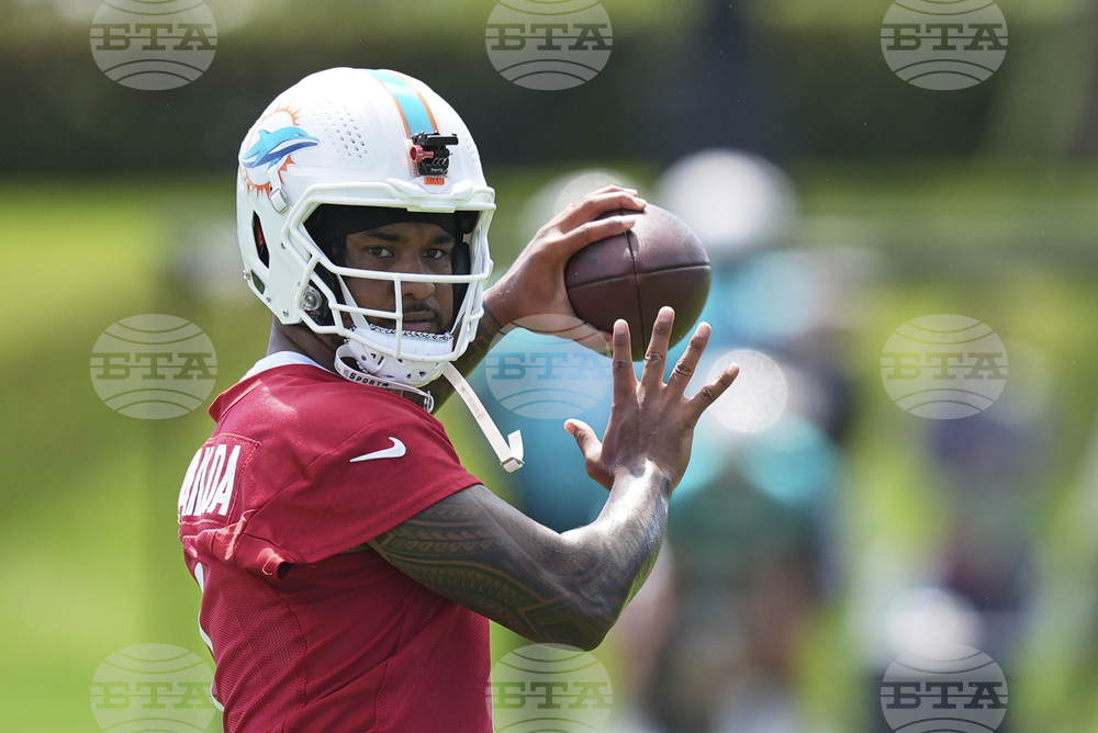 Dolphins Football