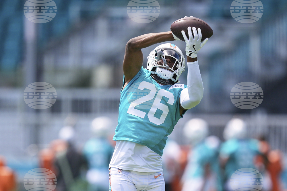 Dolphins Football