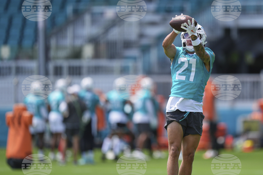 Dolphins Football