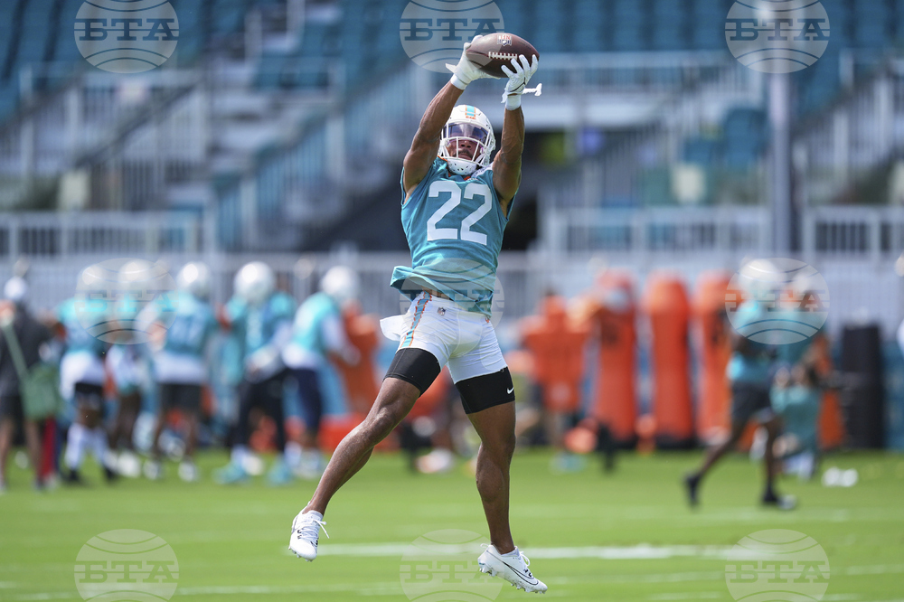 Dolphins Football
