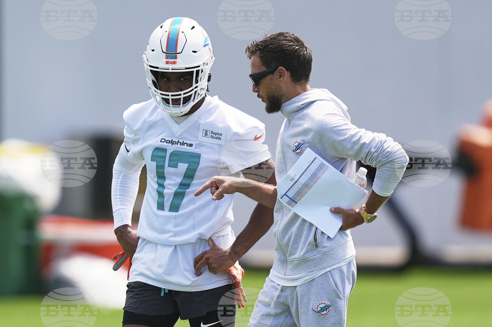 Dolphins Football