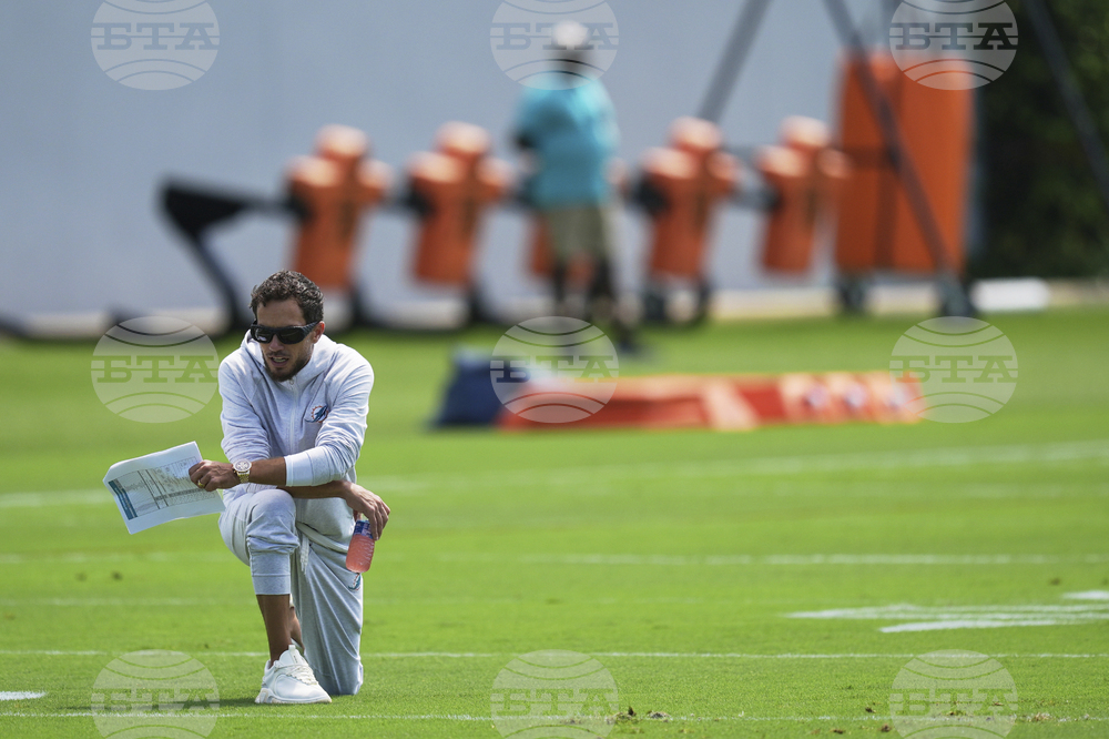Dolphins Football